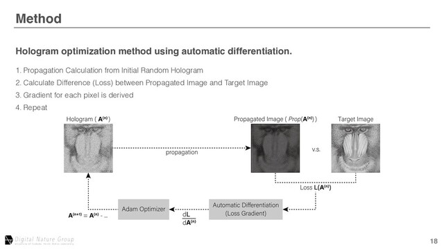 18
Method
After Aberration Correction
Hologram optimization method using automatic differentiation.
1. Propagation Calculation from Initial Random Hologram
2. Calculate Difference (Loss) between Propagated Image and Target Image
3. Gradient for each pixel is derived
4. Repeat
