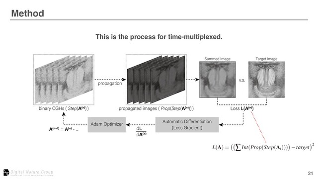 21
Method
After Aberration Correction
This is the process for time-multiplexed.
