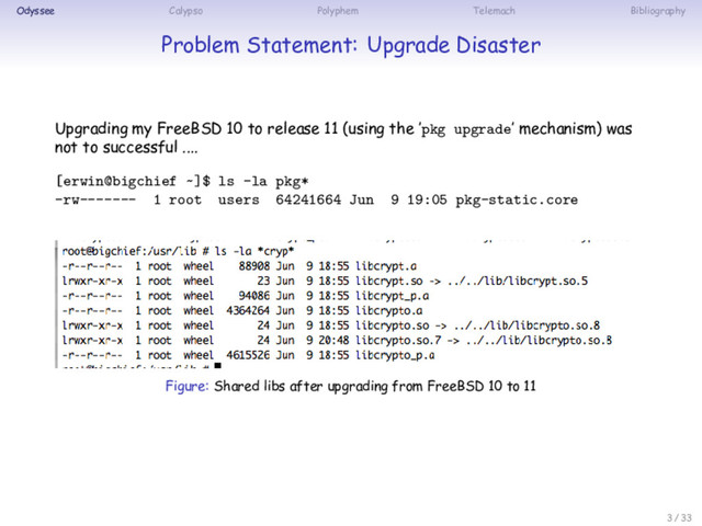 Odyssee Calypso Polyphem Telemach Bibliography
Problem Statement: Upgrade Disaster
Upgrading my FreeBSD 10 to release 11 (using the ’pkg upgrade’ mechanism) was
not to successful ....
[erwin@bigchief ~]$ ls -la pkg*
-rw------- 1 root users 64241664 Jun 9 19:05 pkg-static.core
Figure: Shared libs after upgrading from FreeBSD 10 to 11
3 / 33
