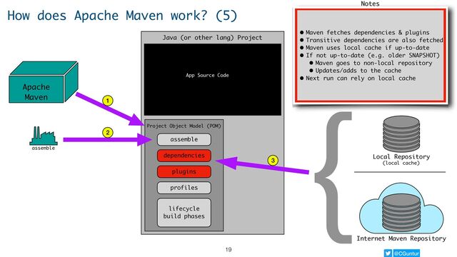 @CGuntur
Watch for notes here
How does Apache Maven work? (5)
Internet Maven Repository
{Local Repository
(local cache)
Java (or other lang) Project
Project Object Model (POM)
assemble
dependencies
plugins
profiles
lifecycle
build phases
App Source Code
Apache
Maven
assemble
1
2
3
• Maven fetches dependencies & plugins
• Transitive dependencies are also fetched
• Maven uses local cache if up-to-date
• If not up-to-date (e.g. older SNAPSHOT)
• Maven goes to non-local repository
• Updates/adds to the cache
• Next run can rely on local cache
Notes
19
