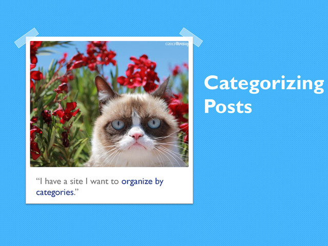 Categorizing
Posts
“I have a site I want to organize by
categories.”

