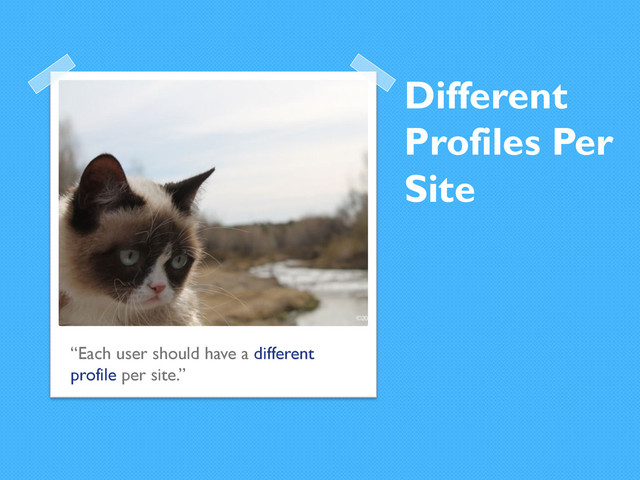 Different
Profiles Per
Site
“Each user should have a different
profile per site.”
