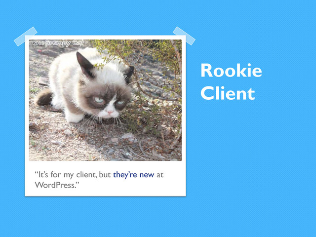 Rookie
Client
“It’s for my client, but they’re new at
WordPress.”
