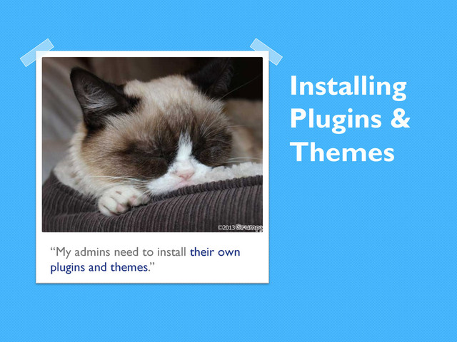 Installing
Plugins &
Themes
“My admins need to install their own
plugins and themes.”
