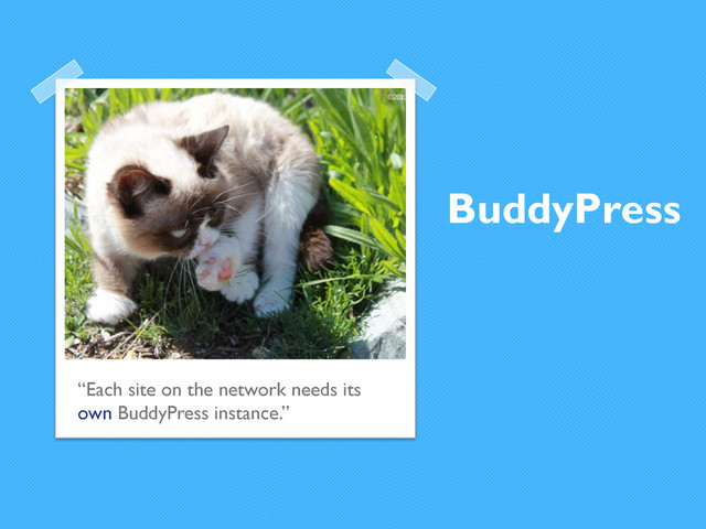 BuddyPress
“Each site on the network needs its
own BuddyPress instance.”
