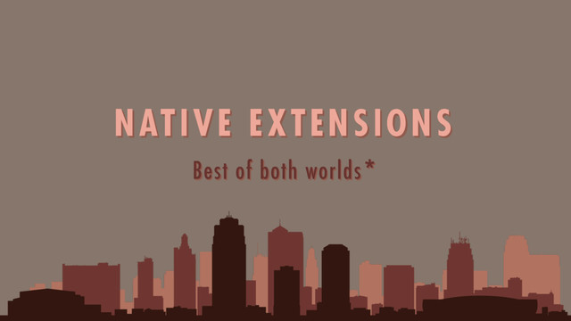 Best of both worlds*
NATIVE EXTENSIONS
