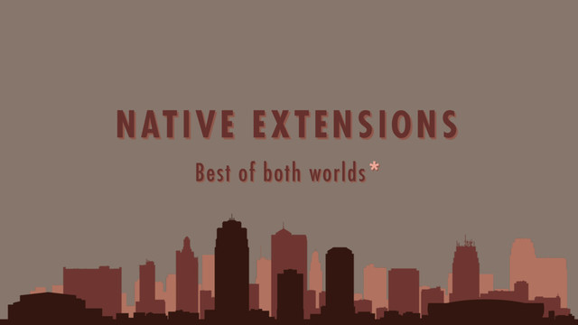 Best of both worlds*
NATIVE EXTENSIONS
