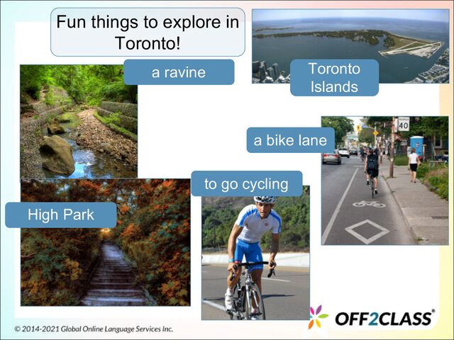 Fun things to explore in
Toronto!
a ravine
High Park
to go cycling
a bike lane
Toronto
Islands
