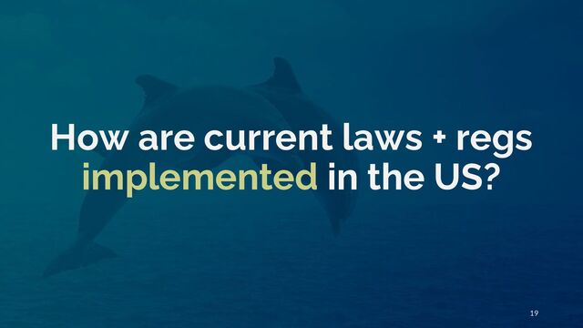 How are current laws + regs
implemented in the US?
19
