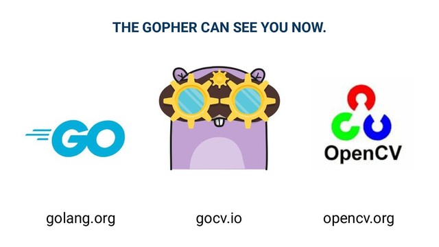 THE GOPHER CAN SEE YOU NOW.
gocv.io opencv.org
golang.org

