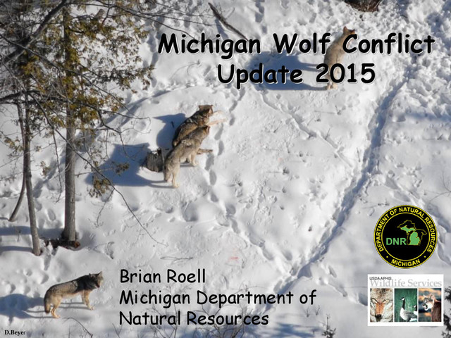 D.Beyer
Michigan Wolf Conflict
Update 2015
Brian Roell
Michigan Department of
Natural Resources
