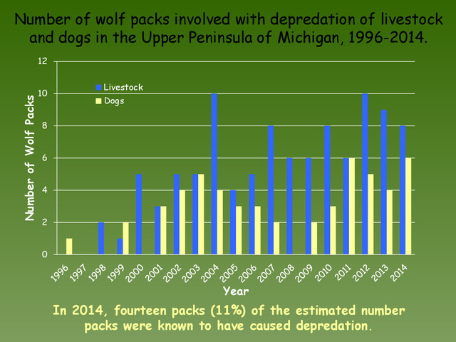 Number of wolf packs involved with depredation of livestock
and dogs in the Upper Peninsula of Michigan, 1996-2014.
In 2014, fourteen packs (11%) of the estimated number
packs were known to have caused depredation.
0
2
4
6
8
10
12
Number of Wolf Packs
Year
Livestock
Dogs
