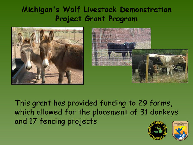 Michigan's Wolf Livestock Demonstration
Project Grant Program
This grant has provided funding to 29 farms,
which allowed for the placement of 31 donkeys
and 17 fencing projects
