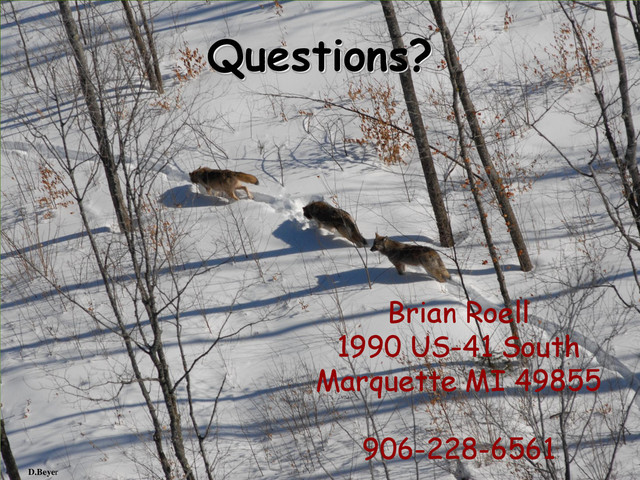 D.Beyer
Questions?
Brian Roell
1990 US-41 South
Marquette MI 49855
906-228-6561
