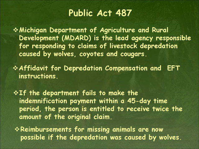 Public Act 487
Michigan Department of Agriculture and Rural
Development (MDARD) is the lead agency responsible
for responding to claims of livestock depredation
caused by wolves, coyotes and cougars.
Reimbursements for missing animals are now
possible if the depredation was caused by wolves.
Affidavit for Depredation Compensation and EFT
instructions.
If the department fails to make the
indemnification payment within a 45-day time
period, the person is entitled to receive twice the
amount of the original claim.
