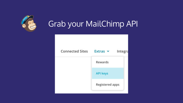 Grab your MailChimp API
