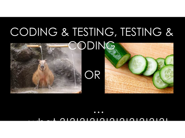 CODING & TESTING, TESTING &
CODING
OR
…
what ?!?!?!?!?!?!?!?!?!?!?!
