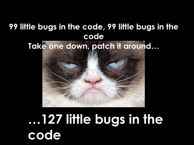 99 little bugs in the code, 99 little bugs in the
code
Take one down, patch it around…
…127 little bugs in the
code
