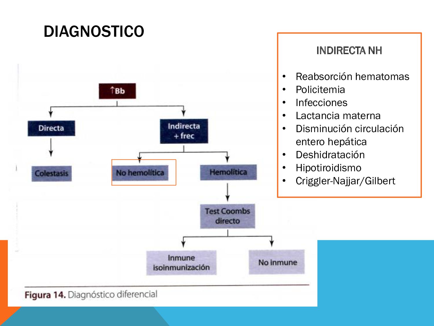 08. Ictericia (Fisiológica, Lactancia Materna, Incompatibilidad ABO, RH ...