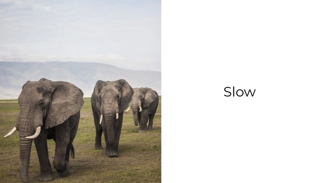 Slow
