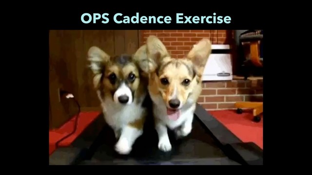 OPS Cadence Exercise
