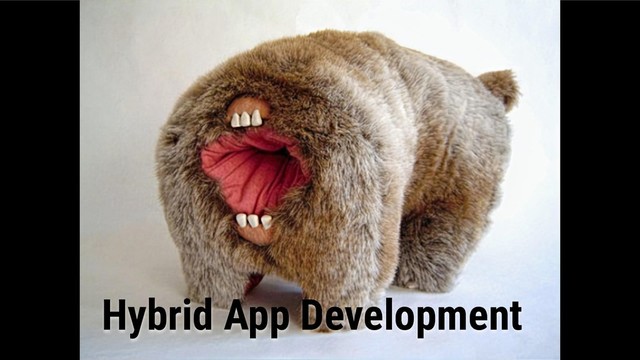 Hybrid App Development
