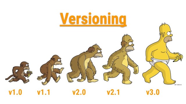 v1.0 v1.1 v2.0 v2.1 v3.0
Versioning
