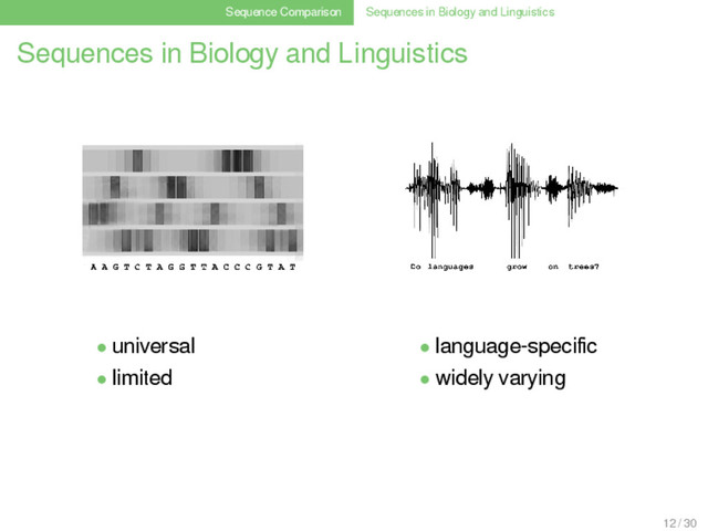 Sequence Comparison Sequences in Biology and Linguistics
Sequences in Biology and Linguistics
• universal • language-speciﬁc
• limited • widely varying
12 / 30
