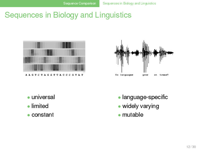 Sequence Comparison Sequences in Biology and Linguistics
Sequences in Biology and Linguistics
• universal • language-speciﬁc
• limited • widely varying
• constant • mutable
12 / 30
