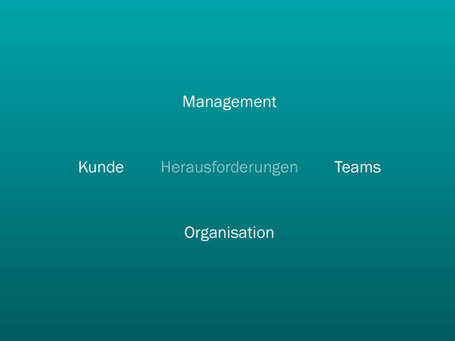 Herausforderungen Teams
Management
Kunde
Organisation
