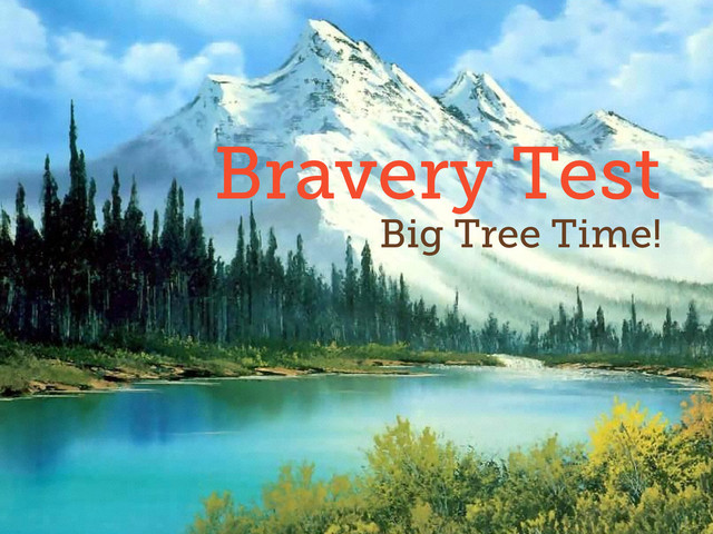 35
Bravery Test
Big Tree Time!
