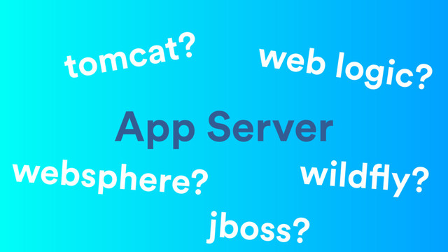 App Server
websphere?
web logic?
tomcat?
wildfly?
jboss?
