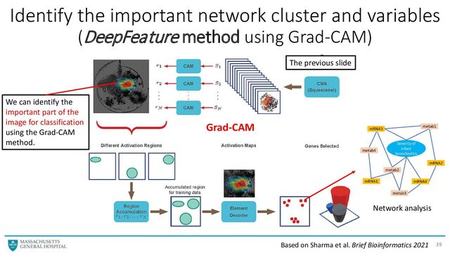 Identify the important network cluster and variables
(DeepFeature method using Grad-CAM)
39
The previous slide
Based on Sharma et al. Brief Bioinformatics 2021
We can identify the
important part of the
image for classification
using the Grad-CAM
method.
Grad-CAM
Network analysis
