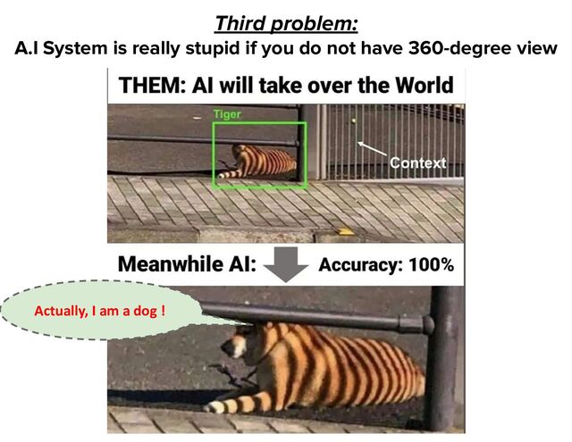 Third problem:
A.I System is really stupid if you do not have 360-degree view
Actually, I am a dog !
