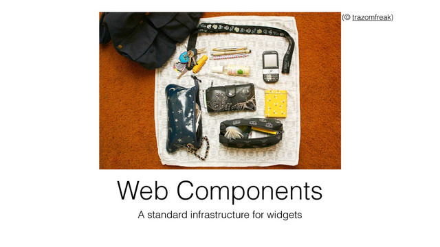 Web Components
A standard infrastructure for widgets
(© trazomfreak)
