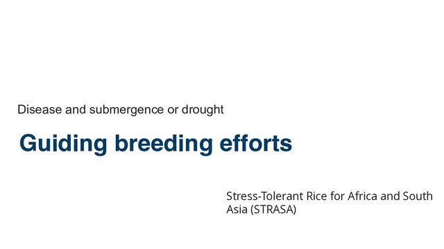 Guiding breeding efforts
Disease and submergence or drought
Stress-Tolerant Rice for Africa and South
Asia (STRASA)

