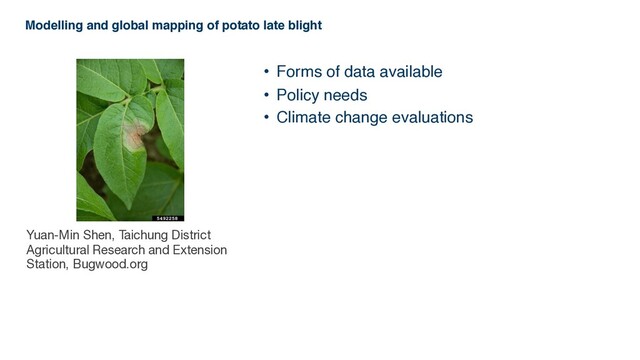 • Forms of data available
• Policy needs
• Climate change evaluations
Yuan-Min Shen, Taichung District
Agricultural Research and Extension
Station, Bugwood.org
Modelling and global mapping of potato late blight
