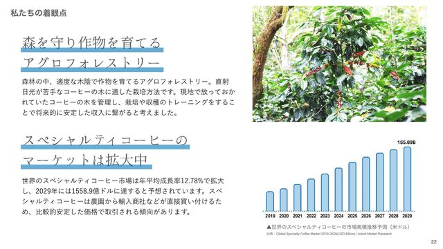 森を守り作物を育てる

アグロフォレストリー
৿ྛͷதɺద౓ͳ໦ӄͰ࡞෺ΛҭͯΔΞάϩϑΥϨετϦʔɻ௚ࣹ
೔ޫ͕ۤखͳίʔώʔͷ໦ʹదͨ͠࠿ഓํ๏Ͱ͢ɻݱ஍Ͱ์͓͔ͬͯ
Ε͍ͯͨίʔώʔͷ໦Λ؅ཧ͠ɺ࠿ഓ΍ऩ֭ͷτϨʔχϯάΛ͢Δ͜
ͱͰকདྷతʹ҆ఆͨ͠ऩೖʹܨ͕Δͱߟ͑·ͨ͠ɻ
ࢲͨͪͷண؟఺
スペシャルティコーヒーの

マーケットは拡⼤中
ੈքͷεϖγϟϧςΟίʔώʔࢢ৔͸೥ฏۉ੒௕཰Ͱ֦େ
͠ɺ೥ʹ͸ԯυϧʹୡ͢Δͱ༧૝͞Ε͍ͯ·͢ɻεϖ
γϟϧςΟίʔώʔ͸೶Ԃ͔Β༌ೖ঎ࣾͳͲ͕௚઀ങ͍෇͚Δͨ
Ίɺൺֱత҆ఆͨ͠Ձ֨ͰऔҾ͞ΕΔ܏޲͕͋Γ·͢ɻ

˛ੈքͷεϖγϟϧςΟίʔώʔͷࢢ৔ن໛ਪҠ༧ଌʢถυϧʣ
ग़యɿGlobal Specialty Coffee Market 2019-2029(USD Billion) / Adroit Market Research
