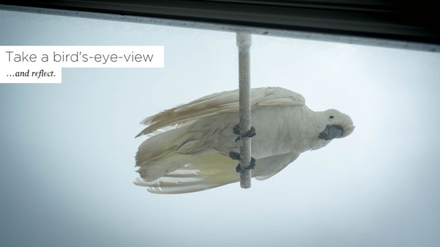 Take a bird's-eye-view
…and reflect.
