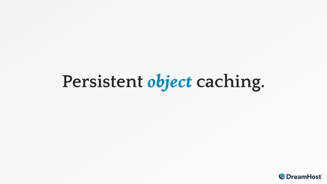 Persistent object caching.

