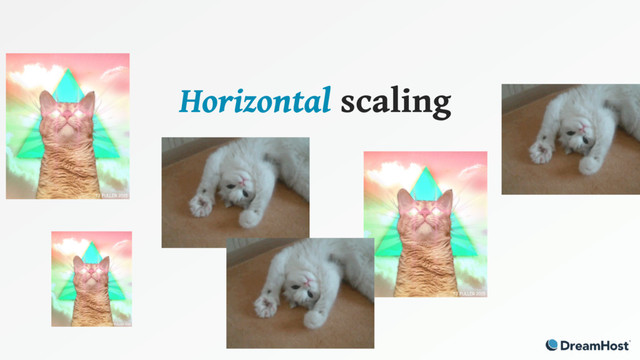 Horizontal scaling
