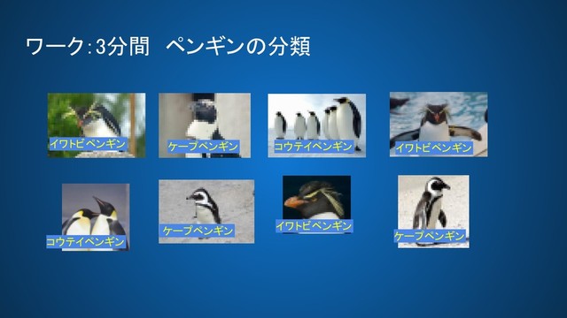ワーク：3分間　ペンギンの分類 
イワトビペンギン 
イワトビペンギン 
コウテイペンギン 
コウテイペンギン 
ケープペンギン 
ケープペンギン　   ケープペンギン 
イワトビペンギン 
