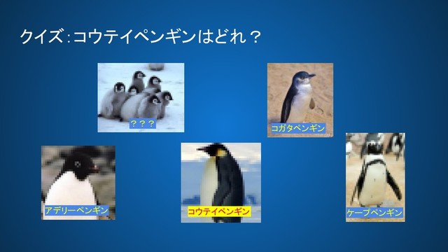 クイズ：コウテイペンギンはどれ？ 
ケープペンギン 
コウテイペンギン 
コガタペンギン 
アデリーペンギン 
？？？ 
