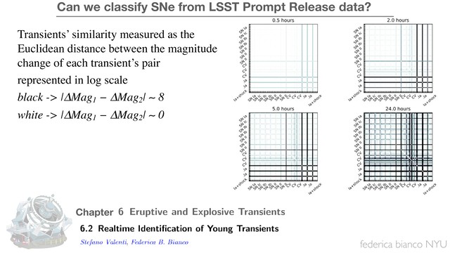 federica bianco NYU
Transients’ similarity measured as the
Euclidean distance between the magnitude
change of each transient’s pair
represented in log scale
black -> |∆Mag1
− ∆Mag2
| ∼ 8
white -> |∆Mag1
− ∆Mag2
| ∼ 0
Chapter
Can we classify SNe from LSST Prompt Release data?
