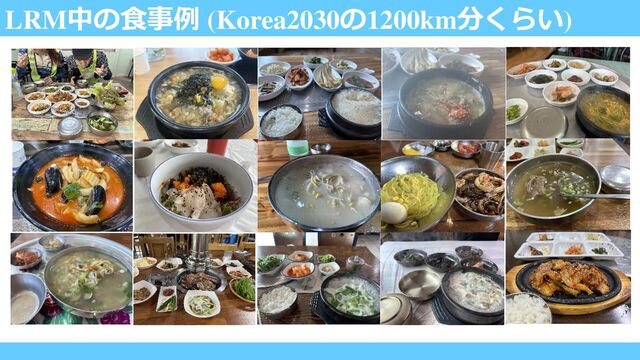 LRM中の食事例 (Korea2030の1200km分くらい)
