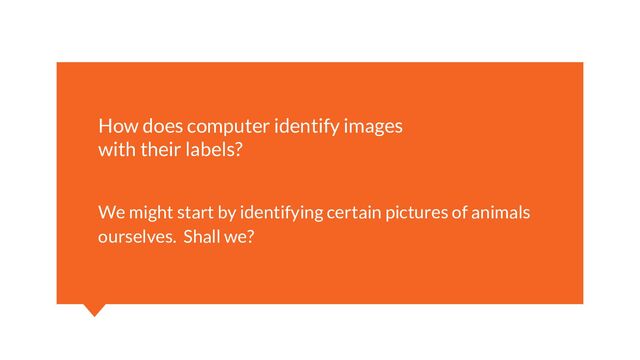 We might start by identifying certain pictures of animals
ourselves. Shall we?
How does computer identify images
with their labels?
