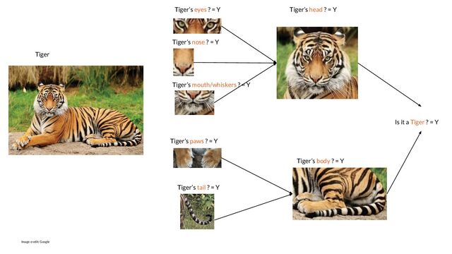Tiger
Tiger’s eyes ? = Y
Tiger’s nose ? = Y
Tiger’s mouth/whiskers ? = Y
Tiger’s paws ? = Y
Tiger’s tail ? = Y
Tiger’s head ? = Y
Tiger’s body ? = Y
Is it a Tiger ? = Y
Image credit: Google

