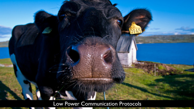 Low Power Communication Protocols
