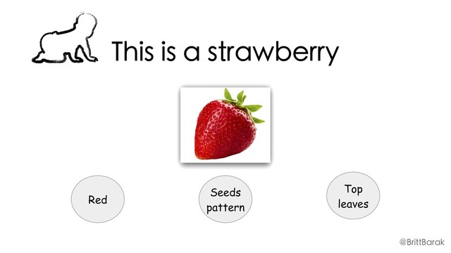 This is a strawberry
Red
Seeds
pattern
Top
leaves
@BrittBarak
