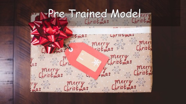 Pre Trained Model
